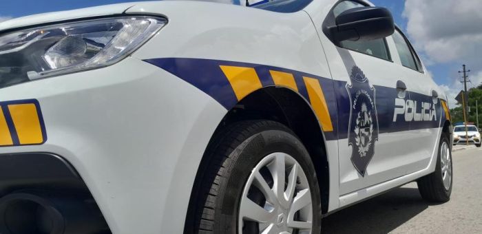 Dos condenados tras la rapiña a un comercio en Luis Eduardo Pérez y Gallinal