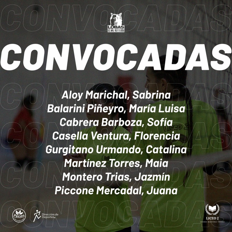 plantel voleibol liceo 2