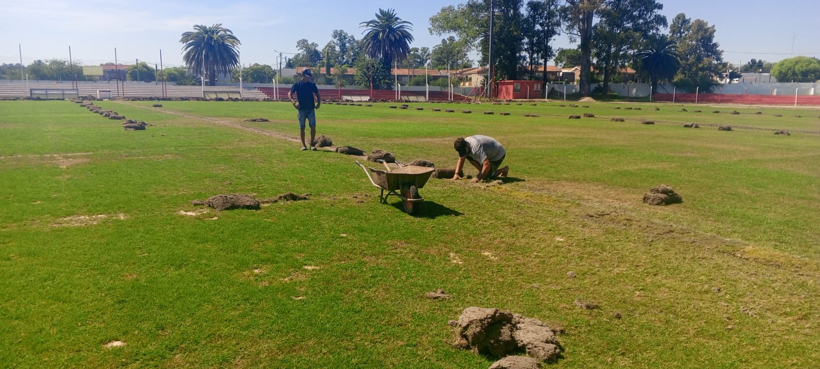 Estadio Campeones Olímpicos contará con nuevo sistema de riego