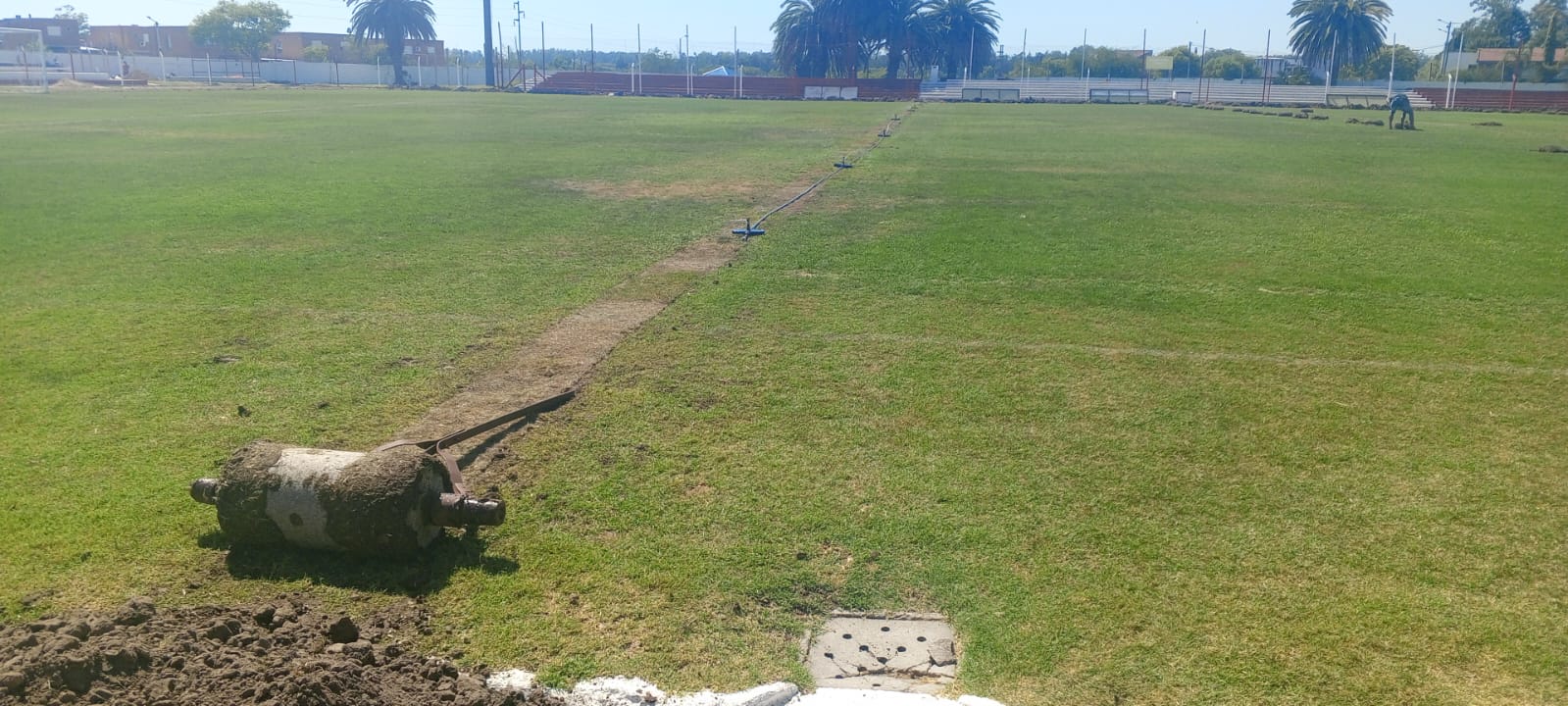 Estadio Campeones Olímpicos contará con nuevo sistema de riego 2