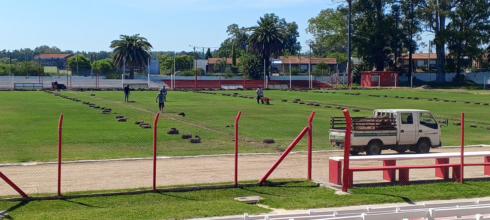 Estadio Campeones Olímpicos contará con nuevo sistema de riego 3